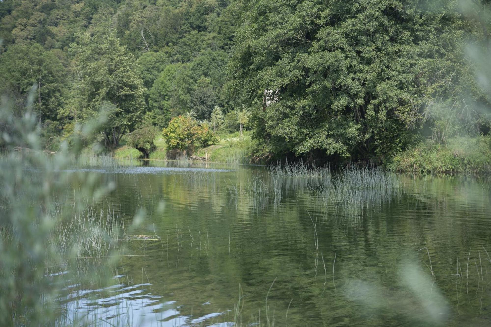 Kuca Za Odmor Casa Huerta Villa Frketic Selo Exterior foto